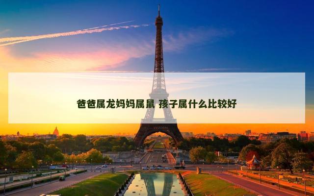 爸爸属龙妈妈属鼠 孩子属什么比较好