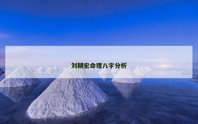 刘耕宏命理八字分析