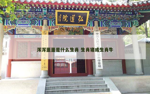 浑浑噩噩是什么生肖 生肖猪或生肖牛