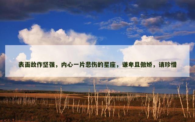 表面故作坚强，内心一片悲伤的星座，谦卑且傲娇，请珍惜