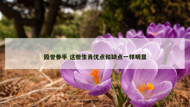 毁誉参半 这些生肖优点和缺点一样明显
