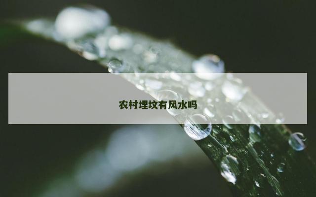 农村埋坟有风水吗