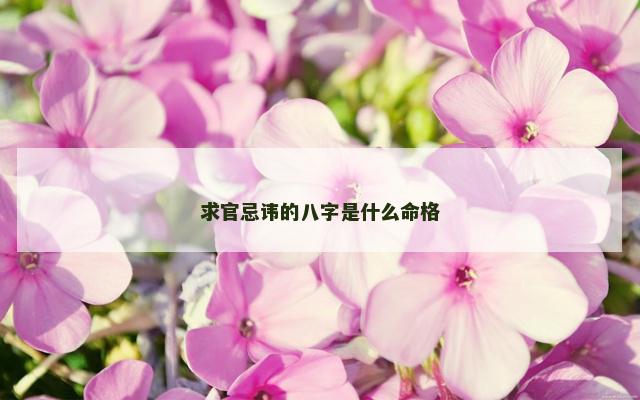 求官忌讳的八字是什么命格