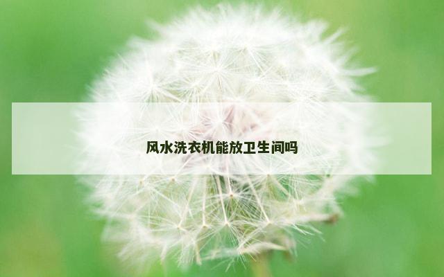 风水洗衣机能放卫生间吗