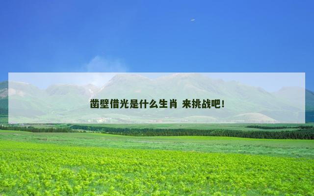 凿壁借光是什么生肖 来挑战吧！
