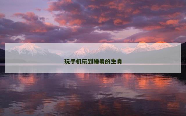 玩手机玩到睡着的生肖