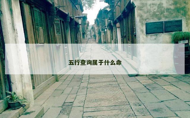 五行查询属于什么命