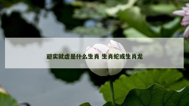 避实就虚是什么生肖 生肖蛇或生肖龙
