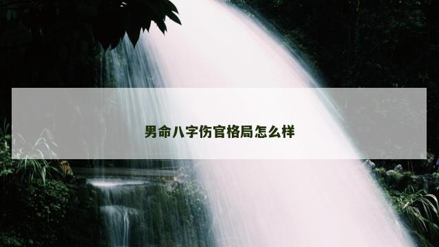男命八字伤官格局怎么样