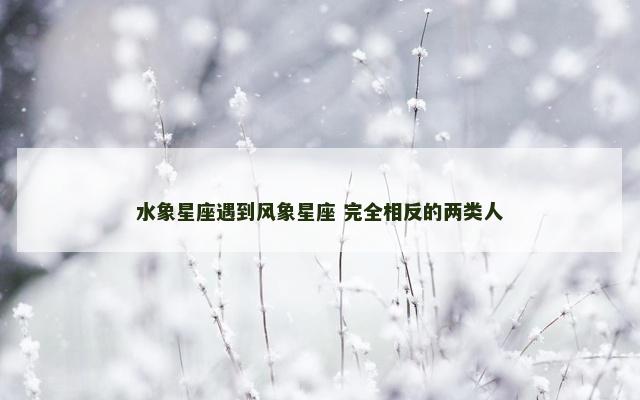 水象星座遇到风象星座 完全相反的两类人