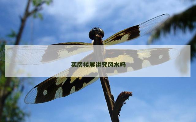 买房楼层讲究风水吗