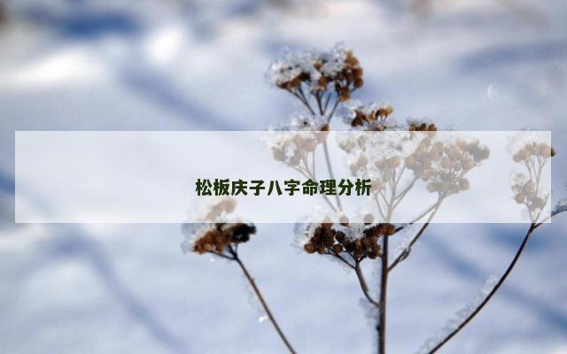 松板庆子八字命理分析