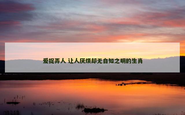 爱捉弄人 让人厌烦却无自知之明的生肖