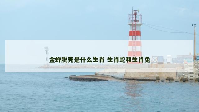 金蝉脱壳是什么生肖 生肖蛇和生肖兔
