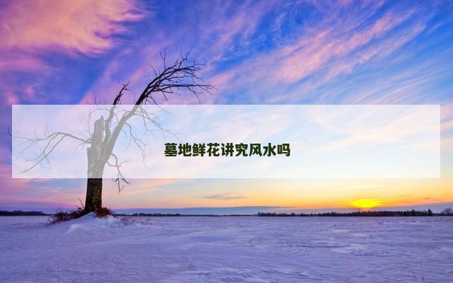 墓地鲜花讲究风水吗