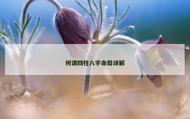 何谓四柱八字命局详解