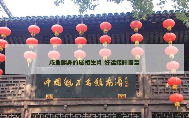 咸鱼翻身的属相生肖 好运接踵而至