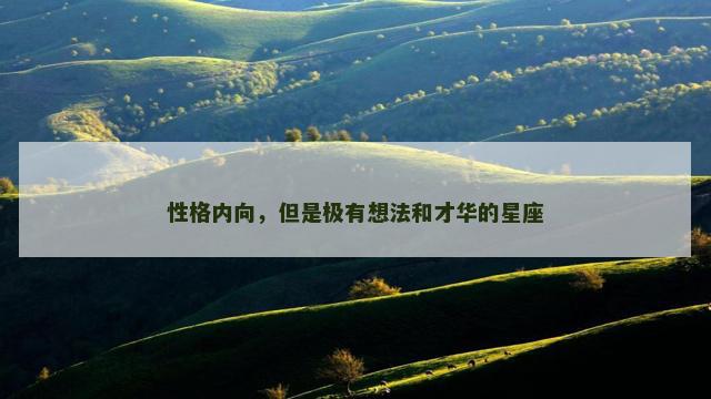 性格内向，但是极有想法和才华的星座