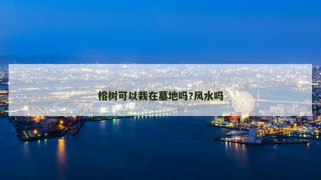 榕树可以栽在墓地吗?风水吗