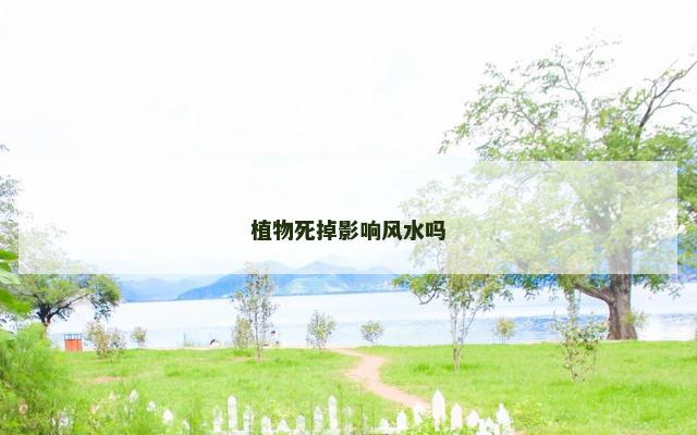 植物死掉影响风水吗