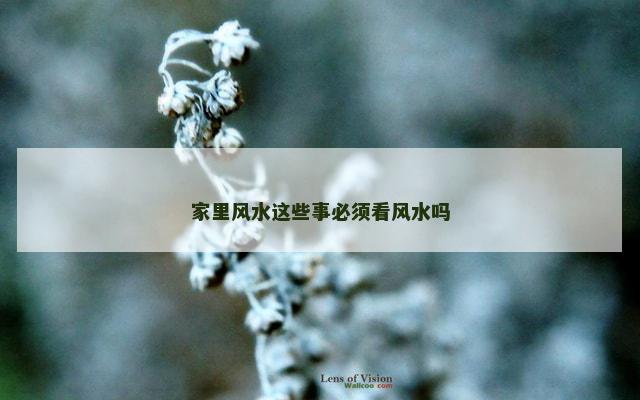 家里风水这些事必须看风水吗