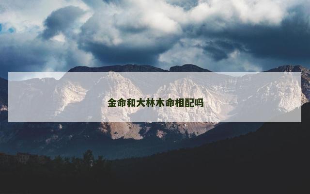 金命和大林木命相配吗