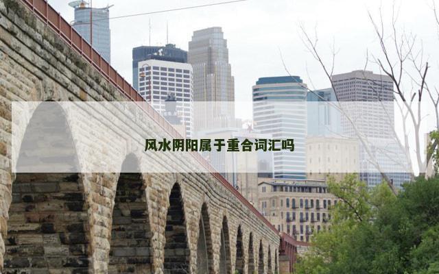 风水阴阳属于重合词汇吗