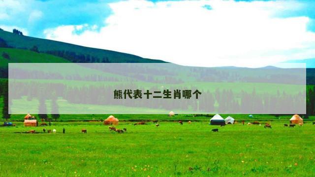 熊代表十二生肖哪个