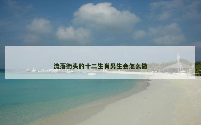 流落街头的十二生肖男生会怎么做