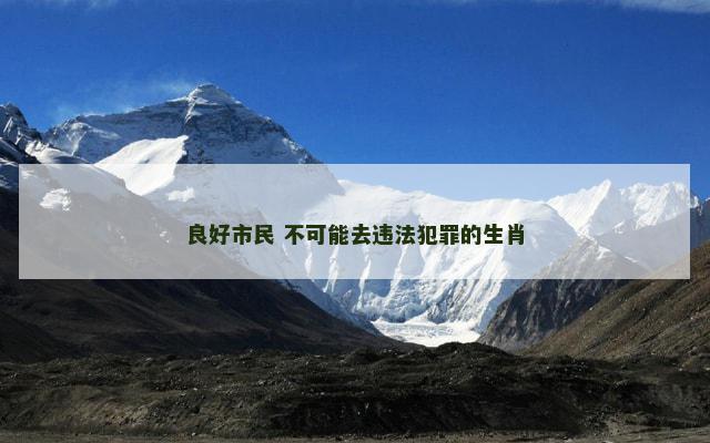 良好市民 不可能去违法犯罪的生肖