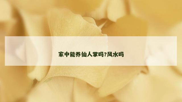 家中能养仙人掌吗?风水吗