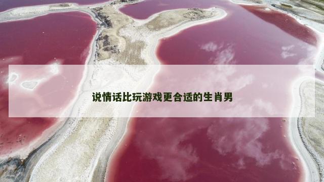 说情话比玩游戏更合适的生肖男