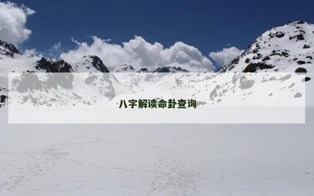 八字解读命卦查询