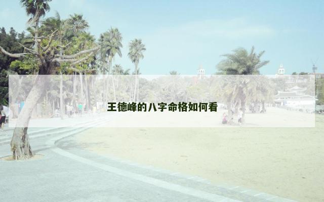 王德峰的八字命格如何看