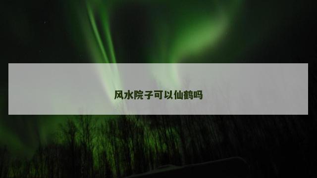 风水院子可以仙鹤吗
