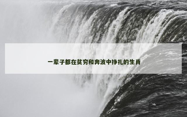 一辈子都在贫穷和奔波中挣扎的生肖
