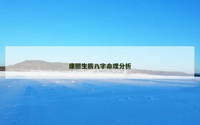 康熙生辰八字命理分析