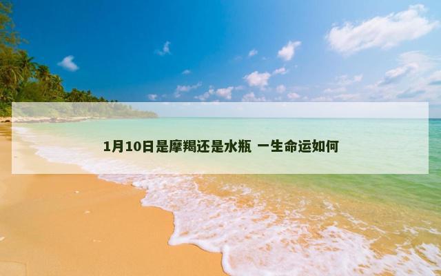 1月10日是摩羯还是水瓶 一生命运如何