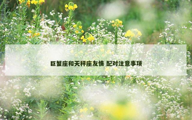 巨蟹座和天秤座友情 配对注意事项