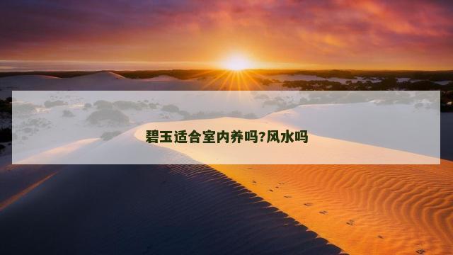 碧玉适合室内养吗?风水吗