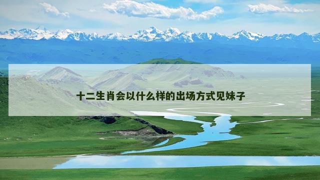 十二生肖会以什么样的出场方式见妹子
