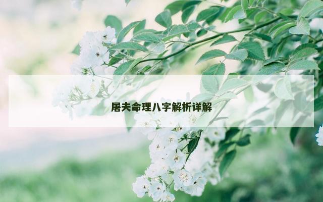 屠夫命理八字解析详解
