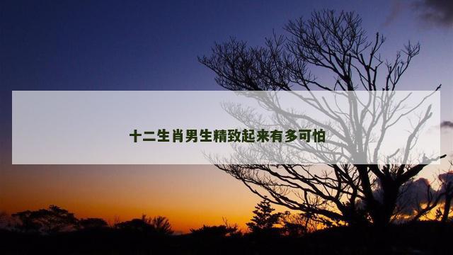 十二生肖男生精致起来有多可怕