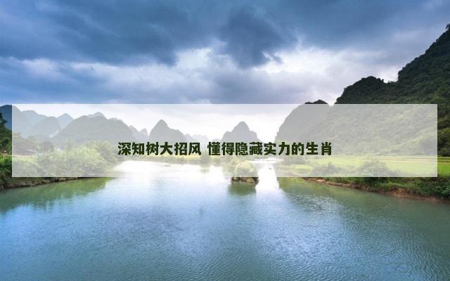 深知树大招风 懂得隐藏实力的生肖