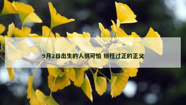9月2日出生的人很可怕 矫枉过正的正义