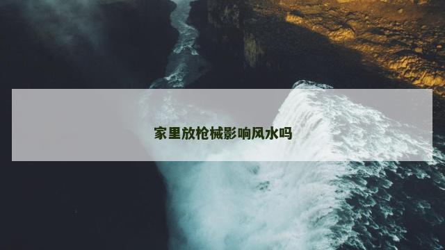 家里放枪械影响风水吗
