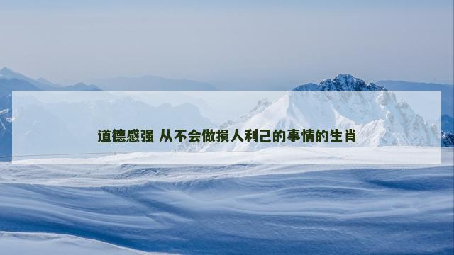 道德感强 从不会做损人利己的事情的生肖