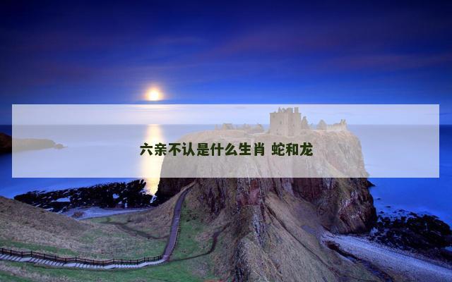 六亲不认是什么生肖 蛇和龙
