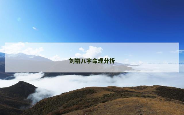 刘裕八字命理分析