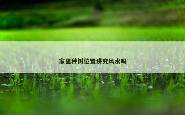 家里种树位置讲究风水吗